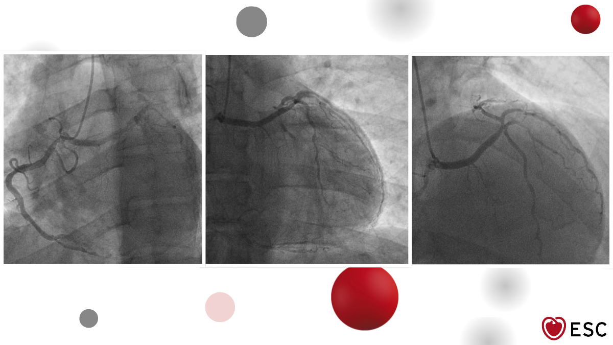 Image of the Week 4 March 2026 