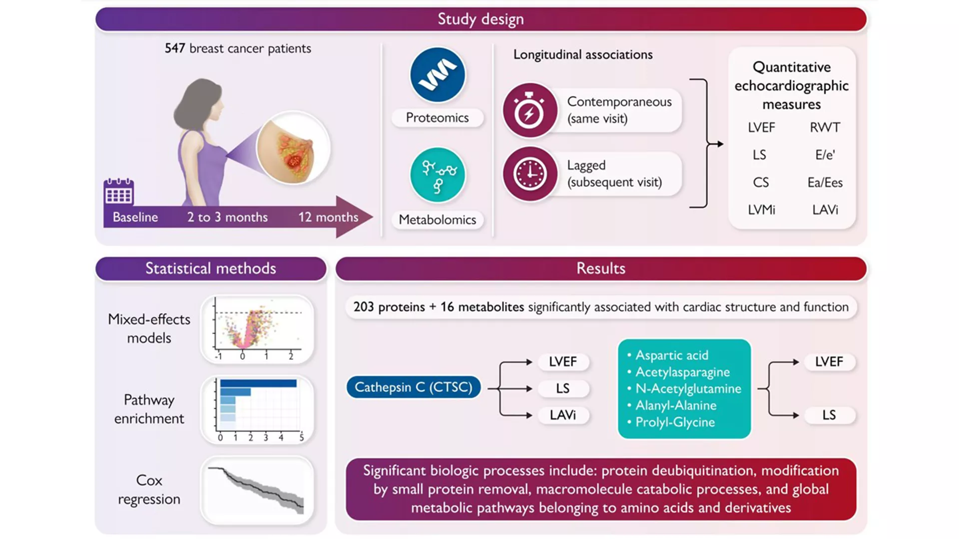 Cardiac remodelling and dysfunction in cancer patients receiving cardiotoxic therapies