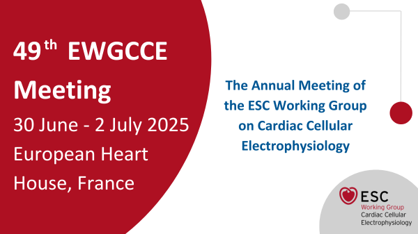 49th EWGCCE Meeting 2025