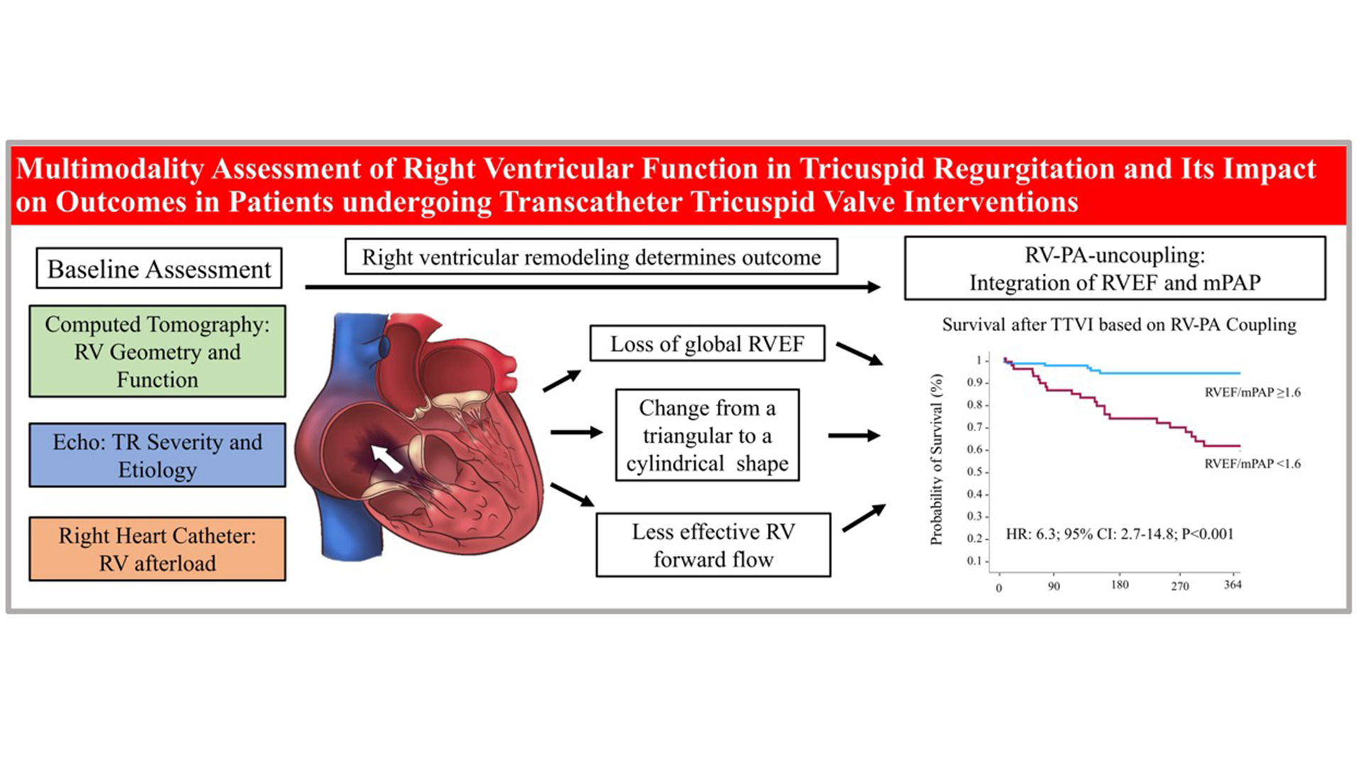 Multimodality Assessment of Right Ventricular Function 