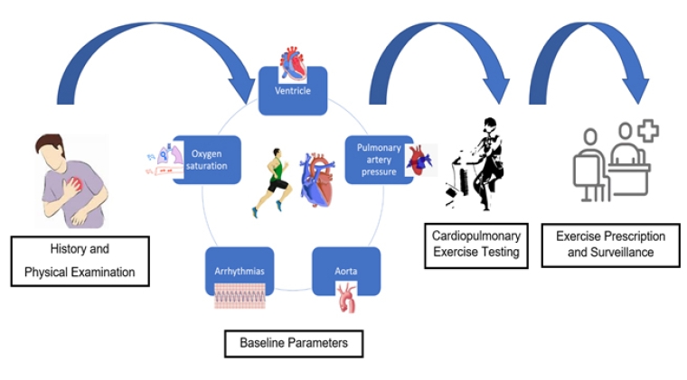 250_Abela_Figure 1_Evaluating adolescent and adult athletes with congenital heart disease.jpg