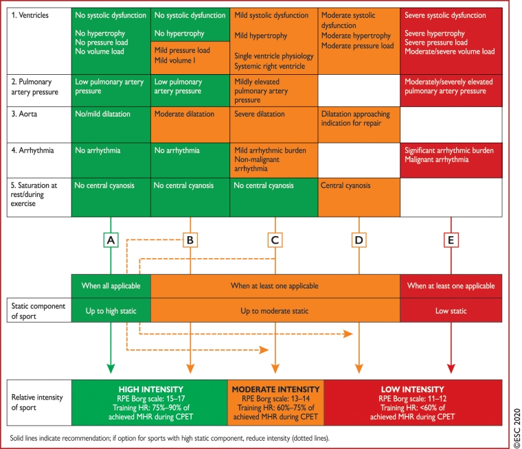 250_Abela_Figure 2_Evaluating adolescent and adult athletes with congenital heart disease.jpg