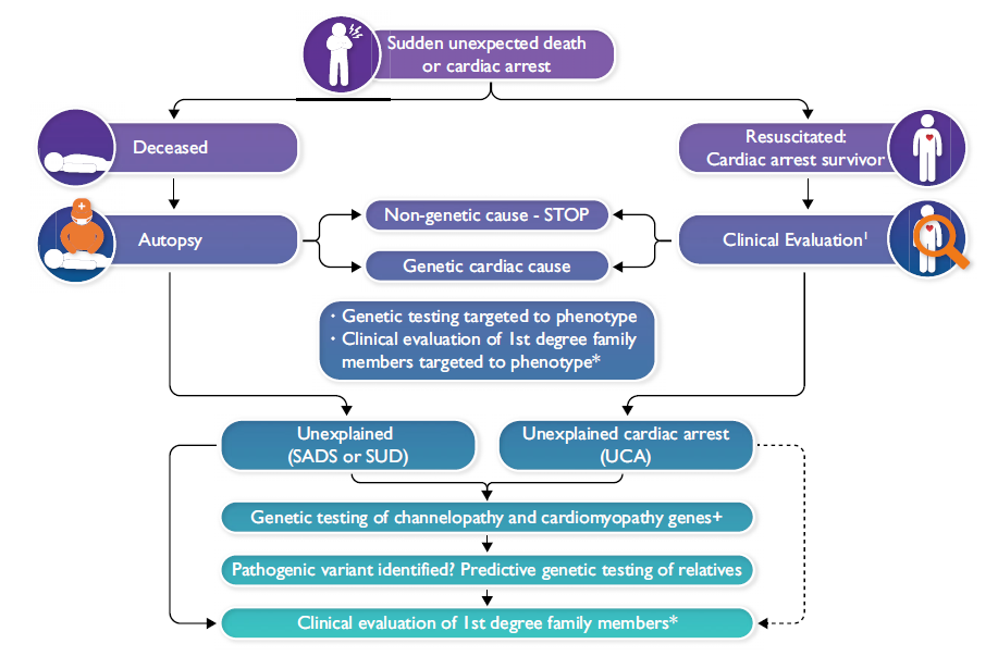 Flowchart - What to expect from genetic testing in SCD management.png