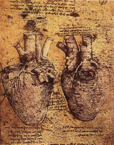 386_Asteggiano_Figure 2.jpg