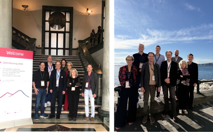 CBFH 2025 WG MF Nucleus.jpg