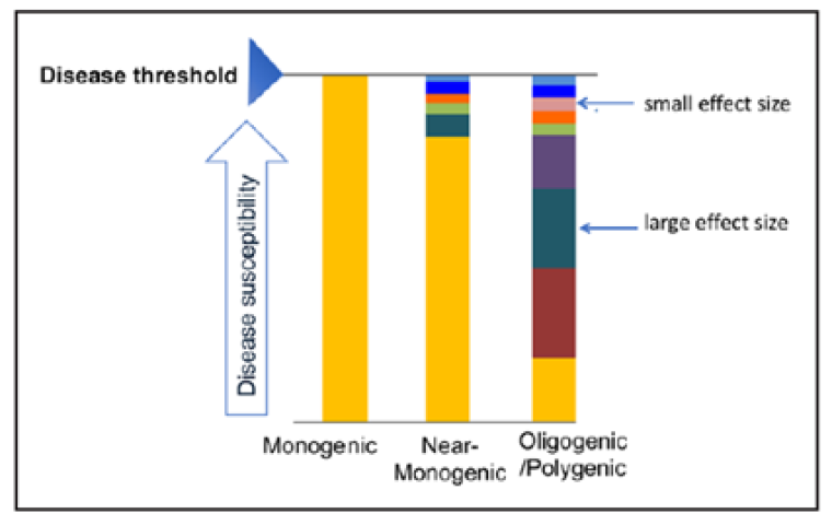 CA Vol10 Picture1_Monogenic and Polygenic Contributions.png