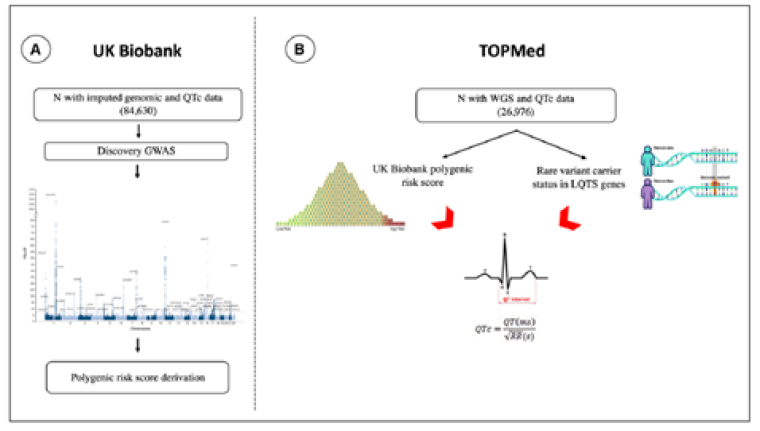 CA Vol10 Picture2_Monogenic and Polygenic Contributions.png