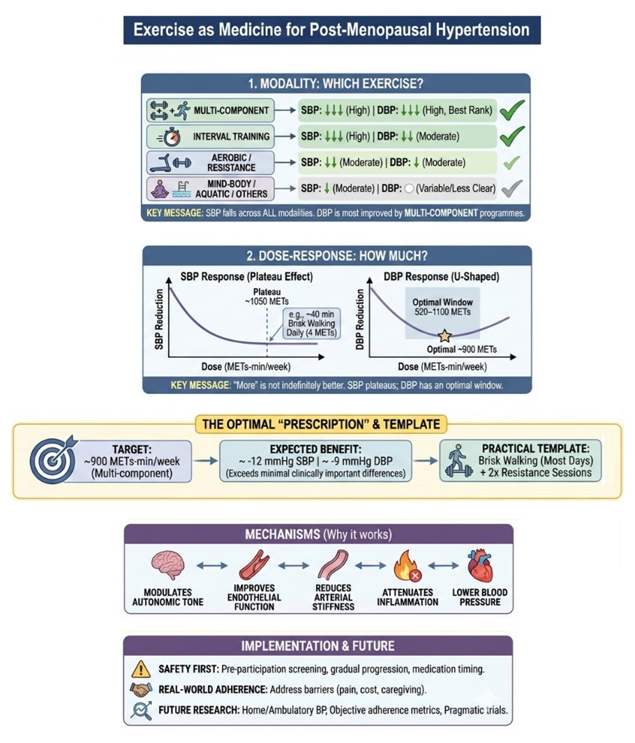 Navigating the evidence base on exercise effects on BP in post-menopausal women
