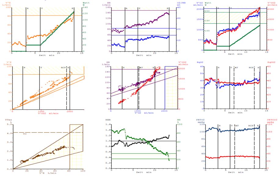 9-panel-plot-cpx-may-2018-case3.jpg
