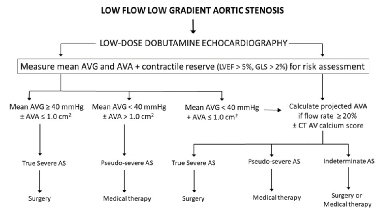 215_Yakupoglu_Figure 2_Exercise and pharmacological testing combined with echocardiography.jpg