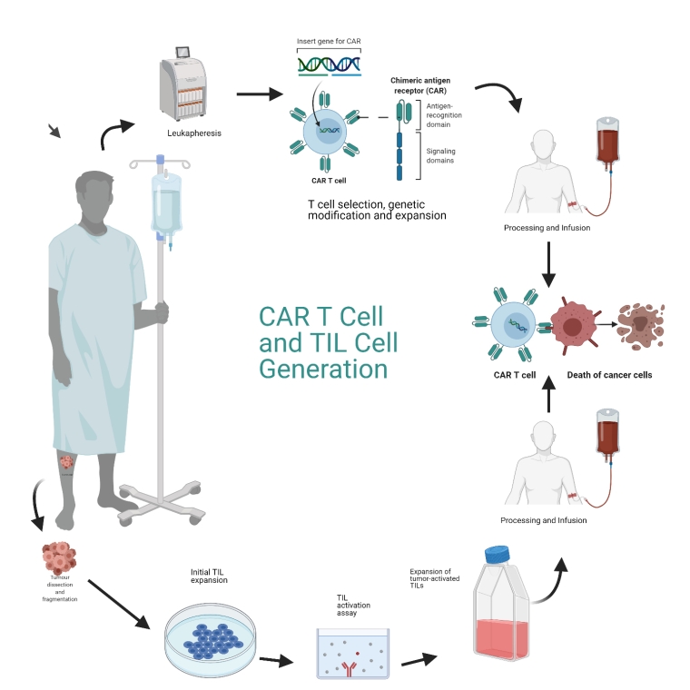 264_Lyon_Figure 3_Cardiovascular complications of immune checkpoint inhibitors, TILs and CAR T-cell therapies.jpg