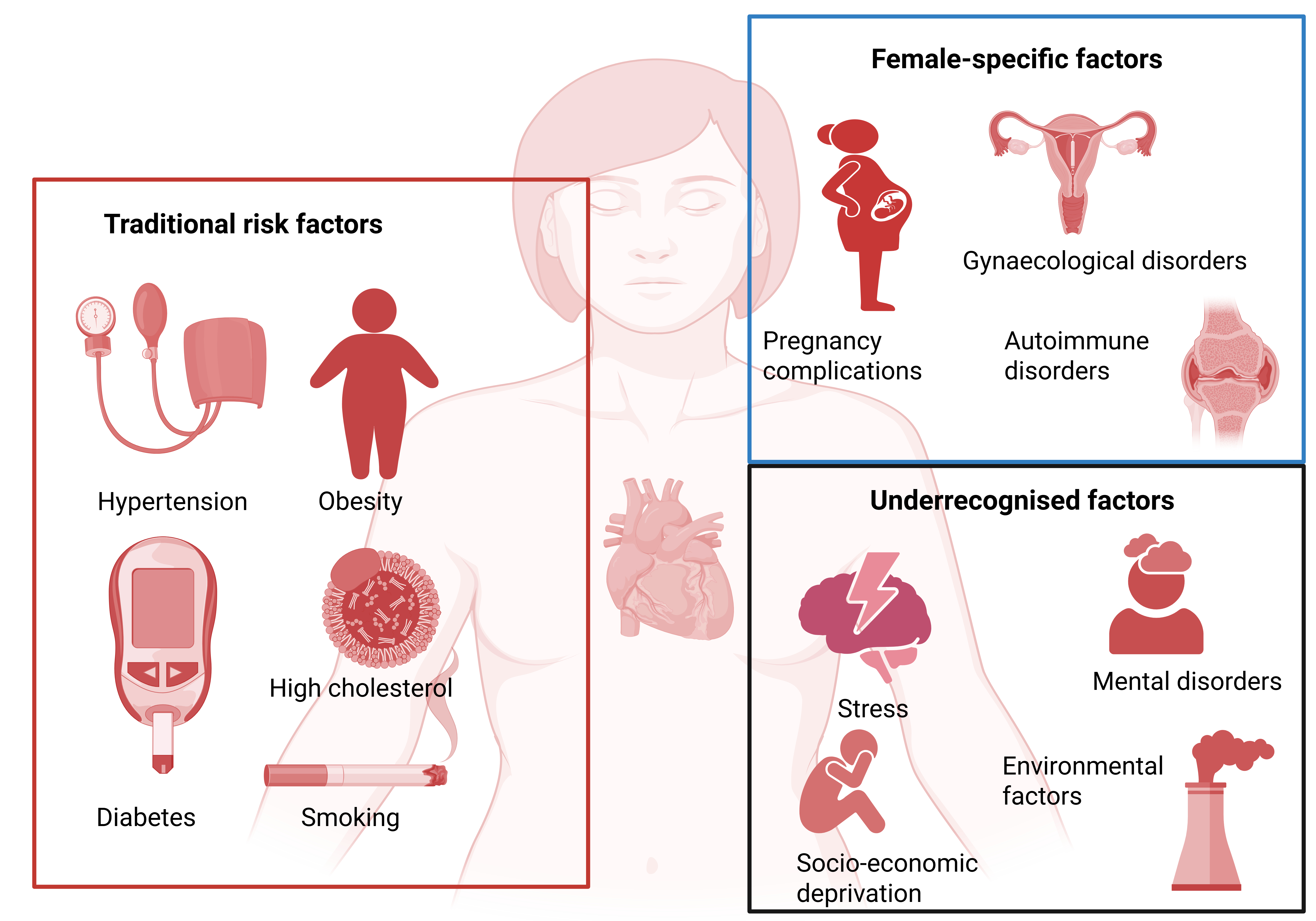 387_Gerdts_Central Illustration_NEW.jpeg