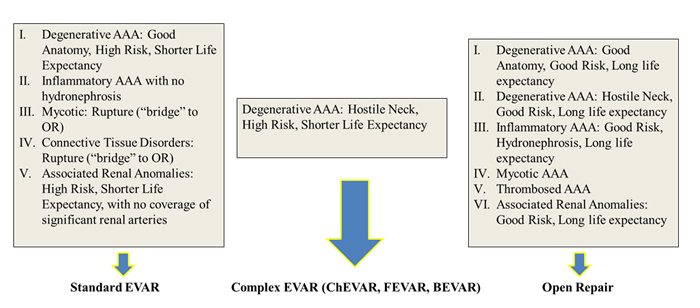 222_Davidovic_Figure 2 - Is there a role for open repair of abdominal aortic aneurysms in the endovascular era.jpg