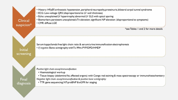 255_Farmakis_Figure 1_Cardiac amyloidosis epidemiology diagnosis and therapy.jpg