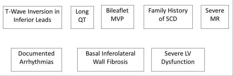 248_El Tahlawi_Figure 1-How do you prevent sudden death during sports activities.jpg