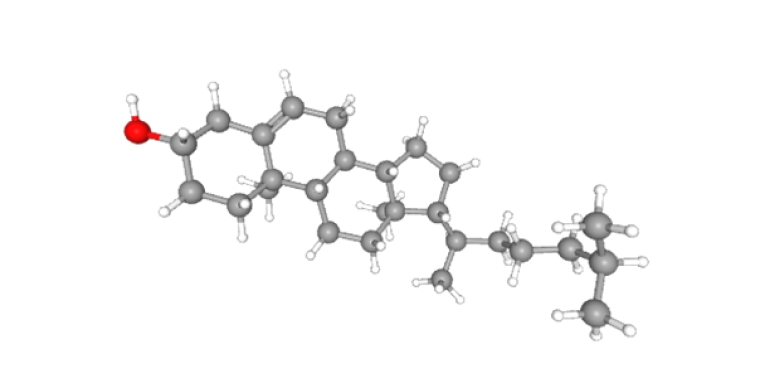 238_Kuijpers_Figure 1_History in medicine the story of cholesterol, lipids and cardiology.jpg
