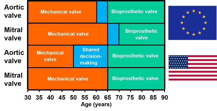 257_Brandt_Figure_2_Prosthetic heart valves Part 1 &ndash; Selection.jpg