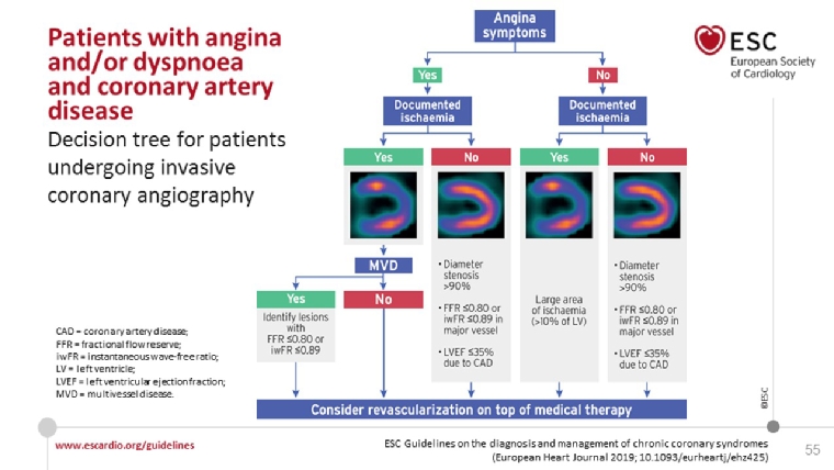 200_Sirnes_Figure 9_Commentary on the new ESC Guidelines on Chronic Coronary Syndromes.jpg