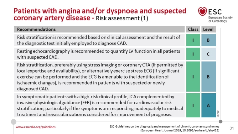 200_Sirnes_Figure 7_Commentary on the new ESC Guidelines on Chronic Coronary Syndromes.jpg