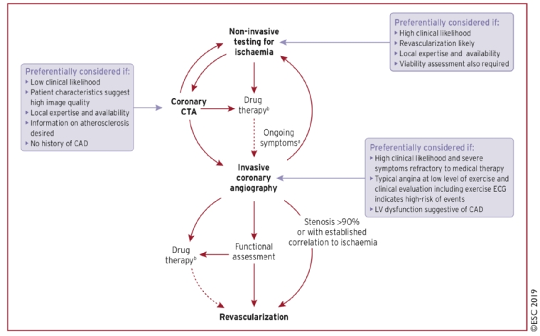 200_Sirnes_Figure 5_Commentary on the new ESC Guidelines on Chronic Coronary Syndromes.jpg