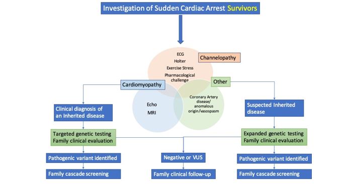 Fig 3 insight 2 - Investigate Sudden Cardiac Death and Sudden Cardiac Arrest in the Young.jpg