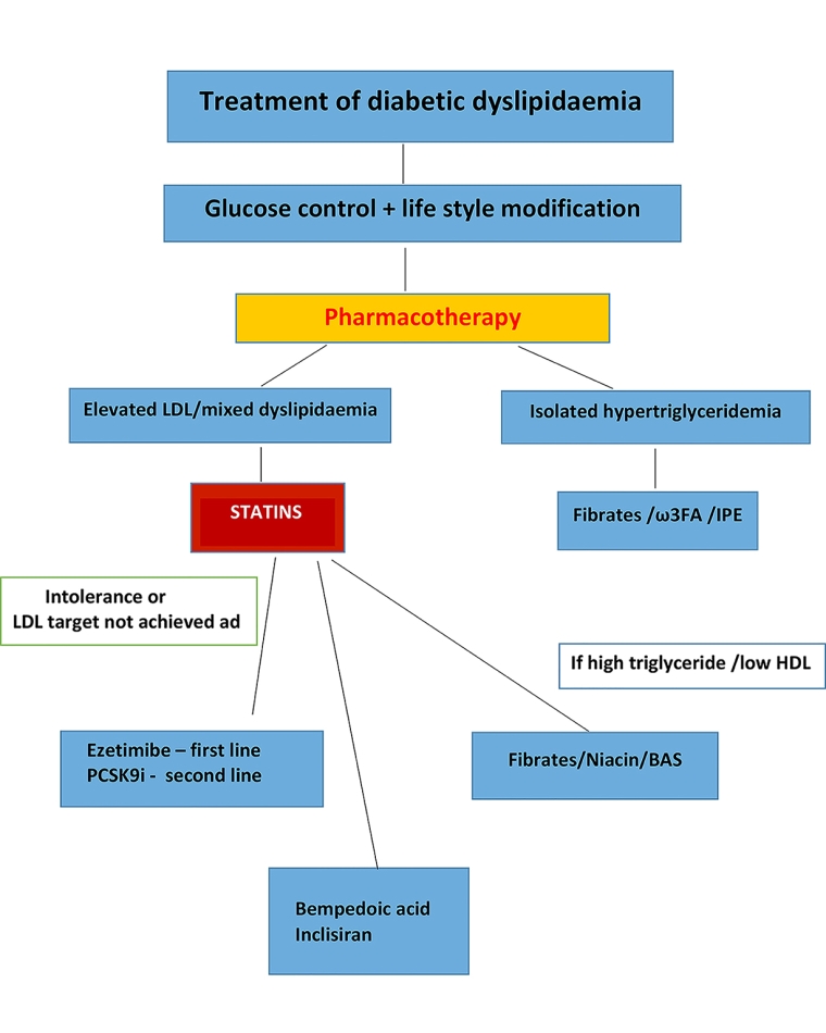 237_de Castro_Figure 1_Diabetic dyslipidaemia which drugs to use.jpg