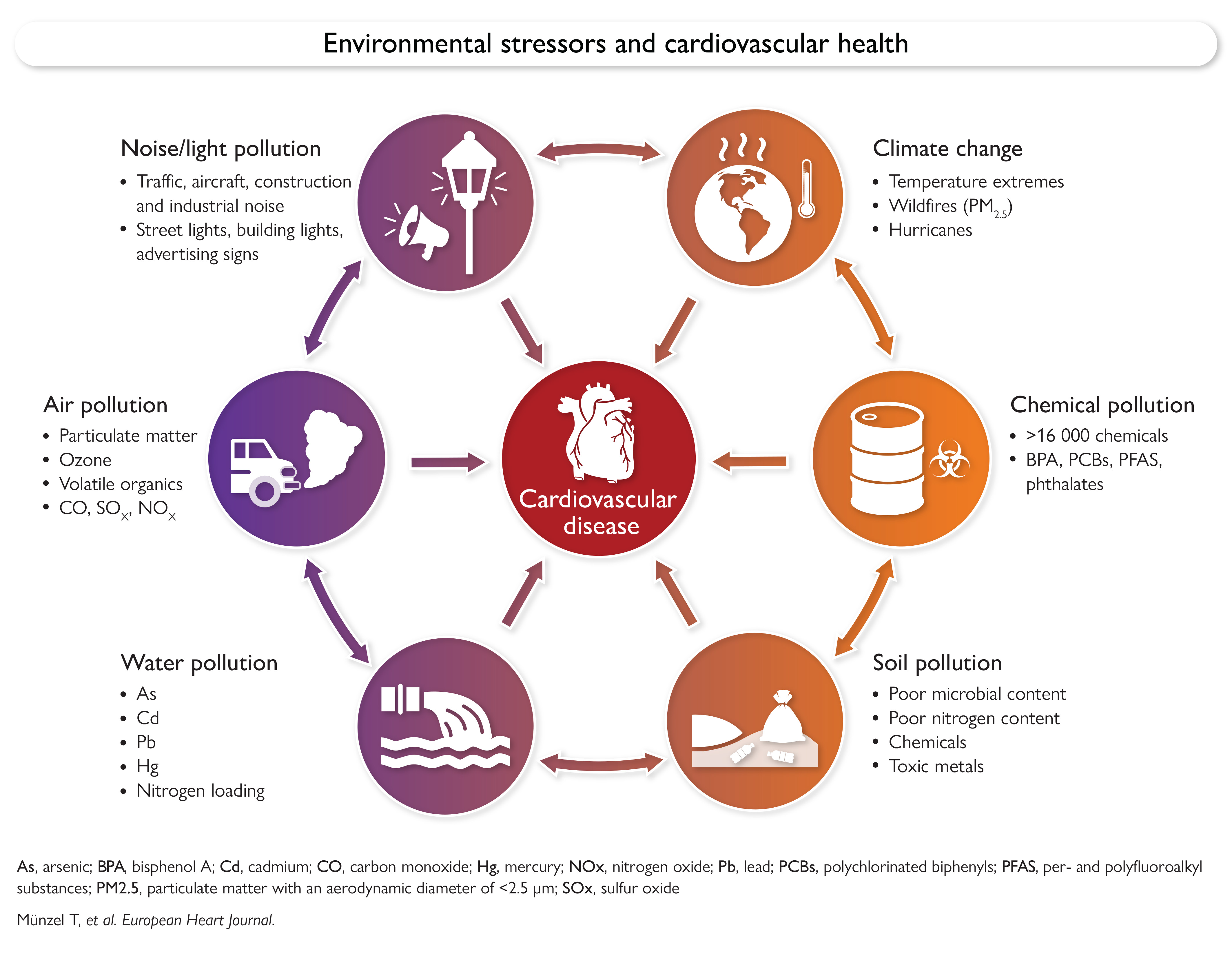 Joint paper Environmental stressors and cardiovascular health: a statement of the European Society of Cardiology, the American College of Cardiology, the American Heart Association, and the World Heart Federation visual abstracts