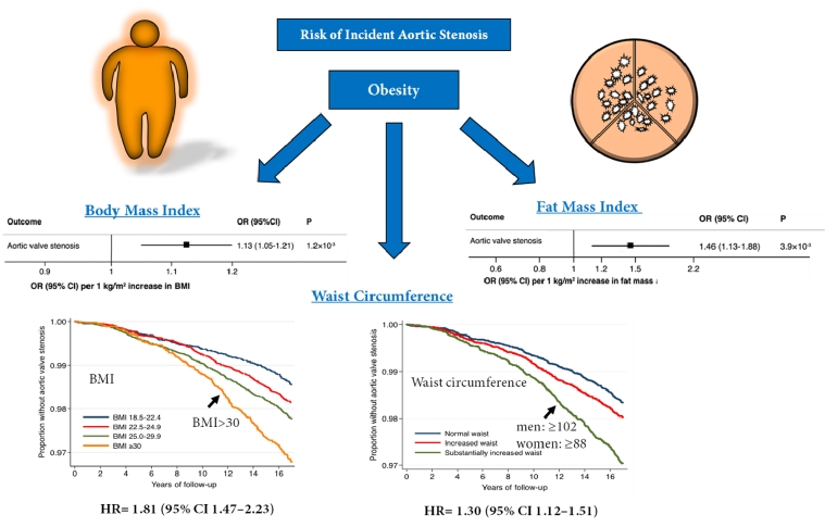 208_Back_Figure 2_Risk factors for aortic stenosis.jpg