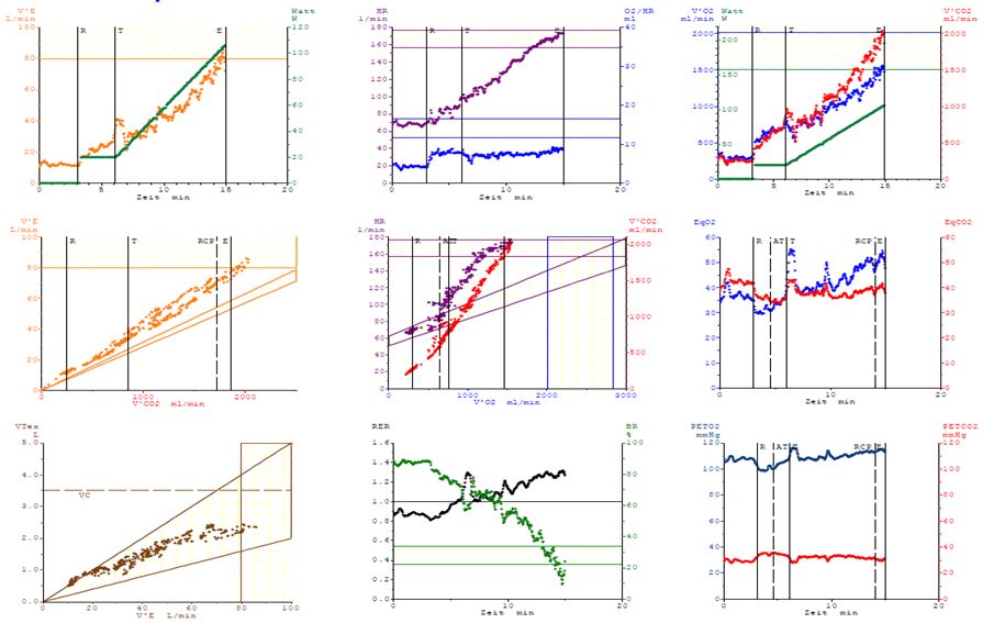 9-panel-plot-cpx-may-2018-case2.jpg