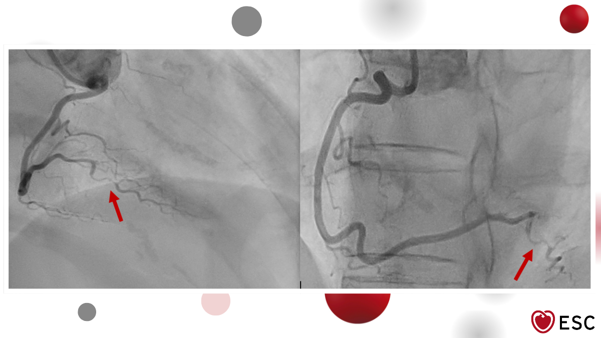 Image of the week 11 February 2026 