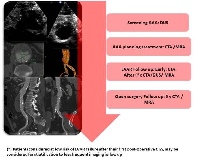266_Perea_Figure 2_Non-invasive techniques in diagnosis and treatment of patients with abdominal aortic aneurysm.jpg