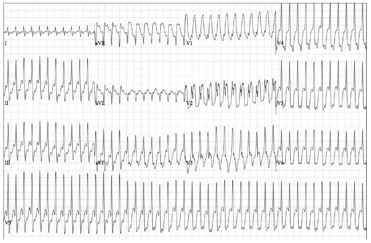 2022-09-quiz-Figure-2.jpg