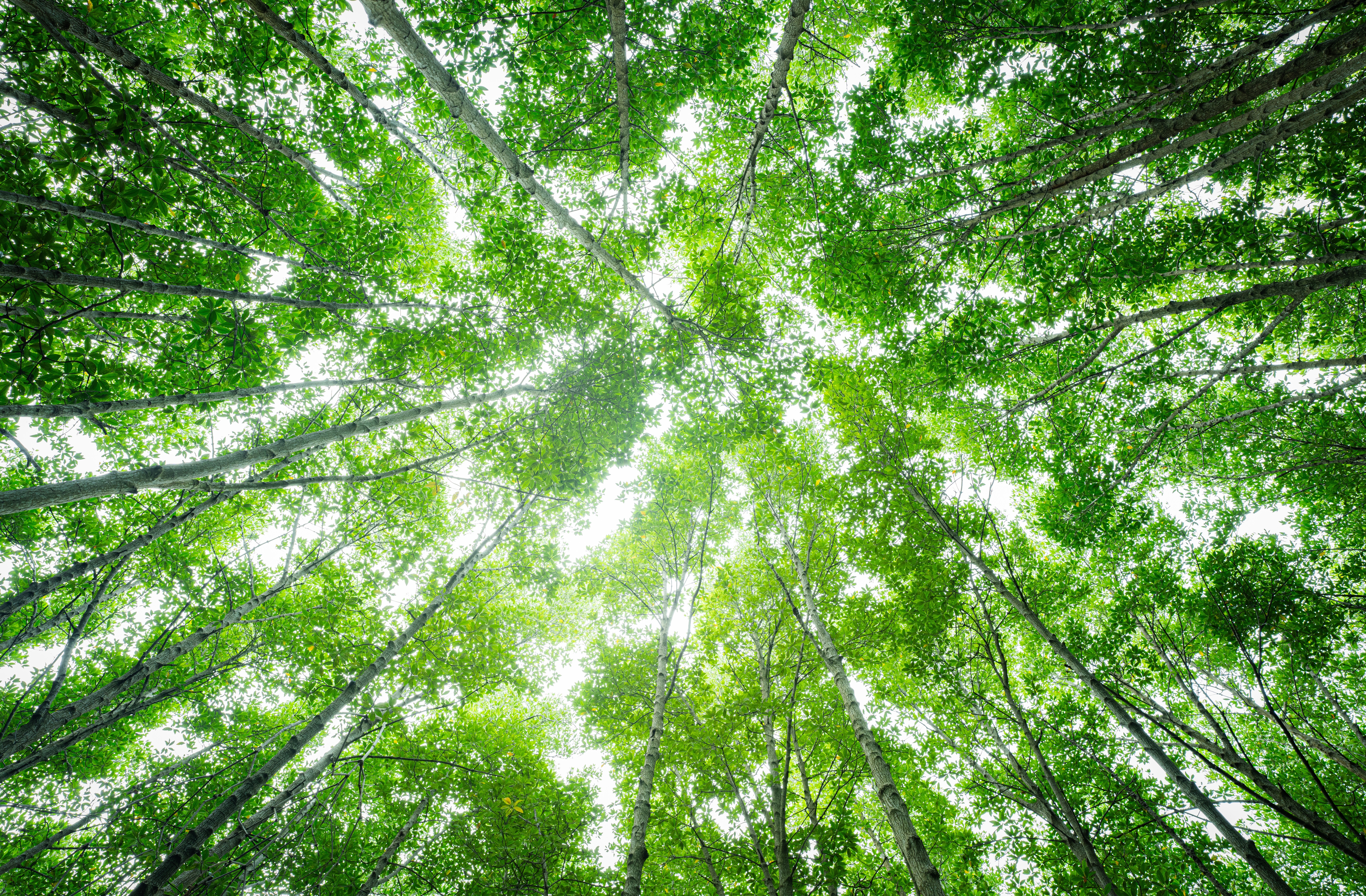 Upcoming initiatives in our sustainability journey