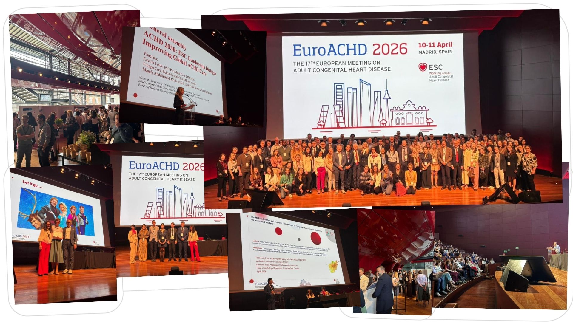 EuroACHD photomontage.jpg