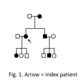 fig insight 4 - Case of a 40-year old woman with first-time atrial flutter.jpg
