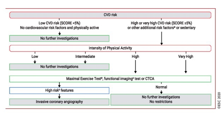 247_Gianturco_FIGURE 2_How do you answer a 65-year-old, without a history of cardiac or vascular disease, when they ask Can I participate in competitive sports.jpg