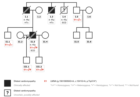 Clinical case_ Fig 4 - The importance of early etiologic diagnosis of dilated cardiomyopathy.png