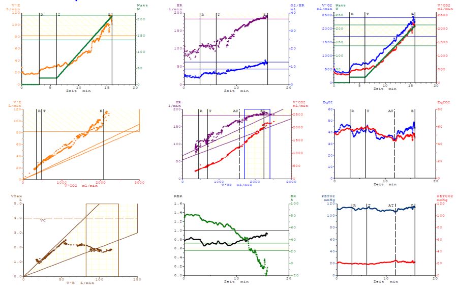 9-panel-plot-cpx-may-2018-case1.jpg