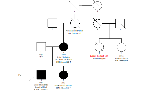 Family pedigree - a pleiotropic approach is mandatory.png