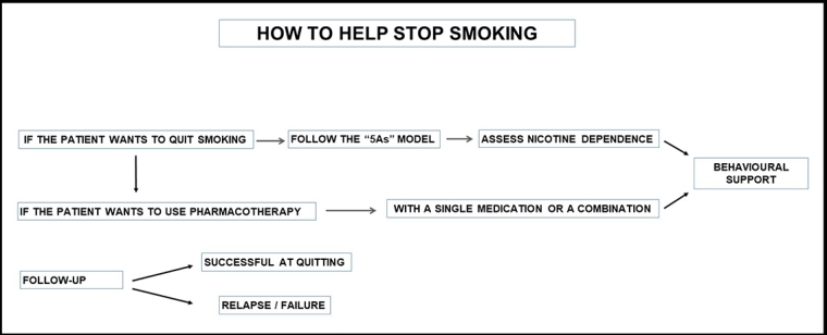 262_Blanch_Figure 2 _When are you going to quit smoking.jpg