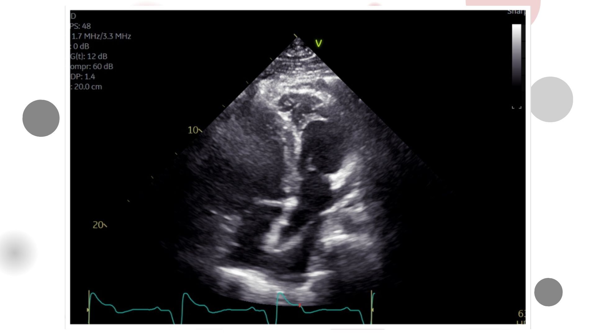 Image of the week 8 April 2026