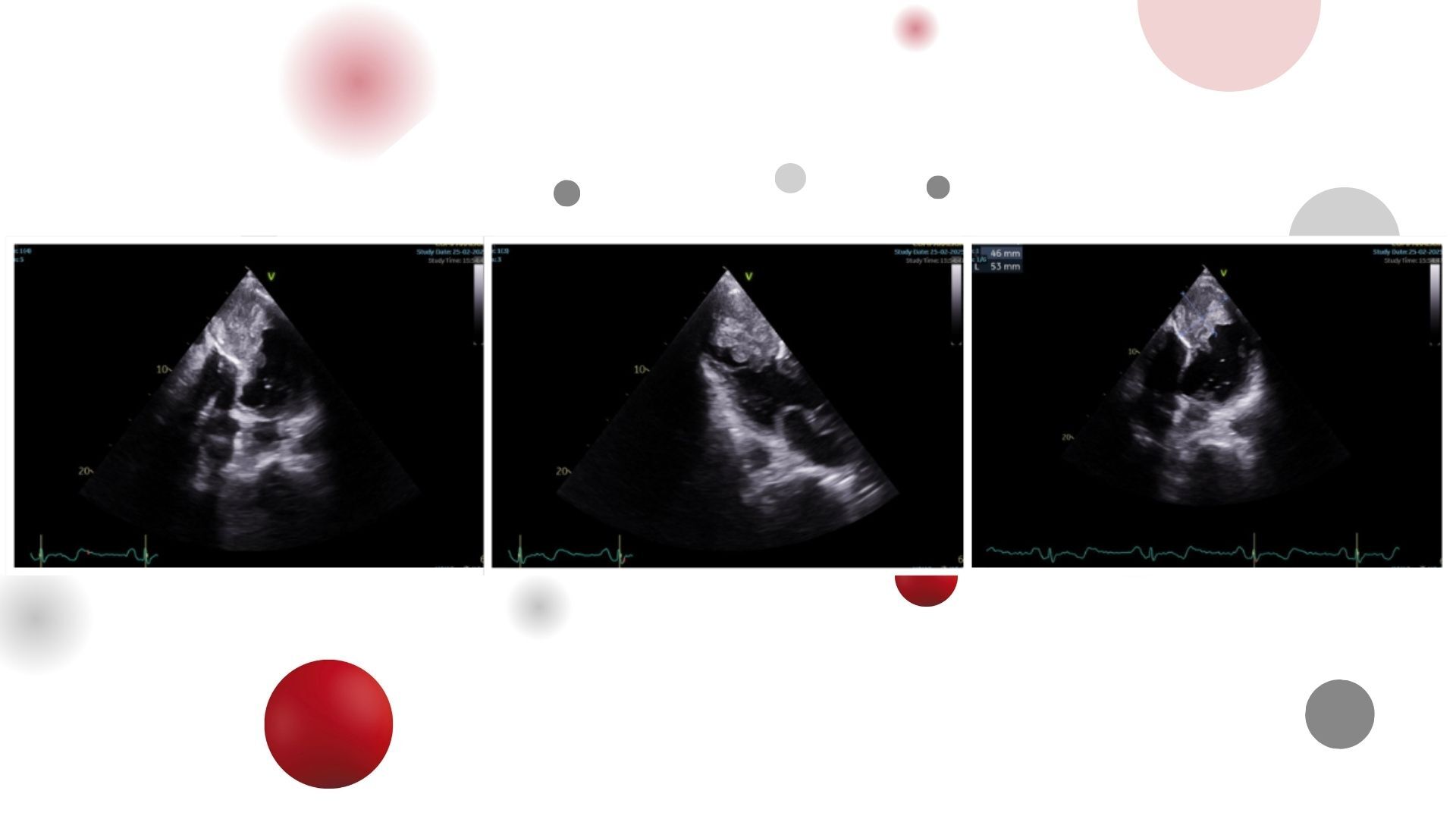 Image of the week 18 March 2026