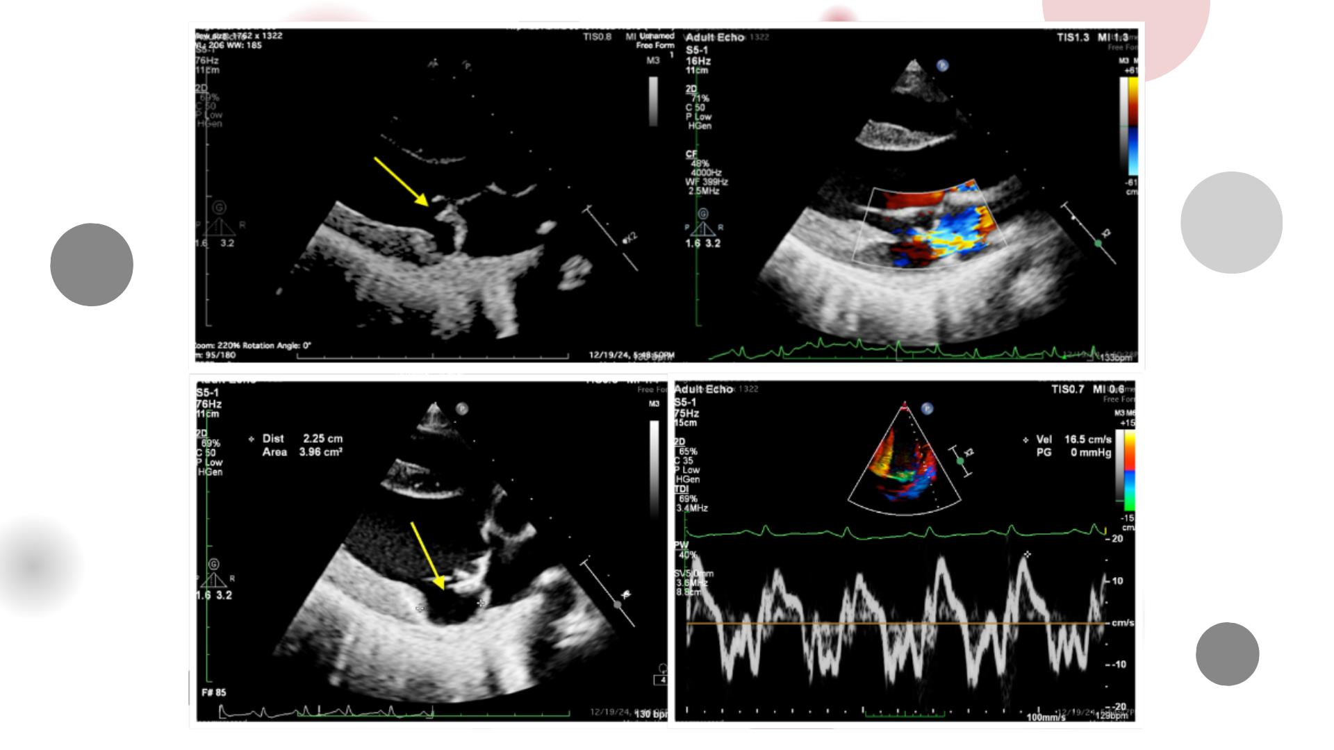 Image of the week 15 April 2026