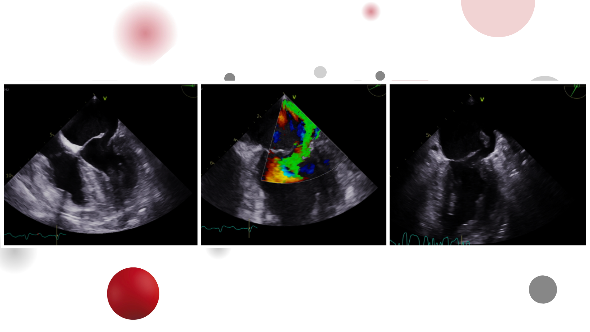 Image of the week 25 March 2026