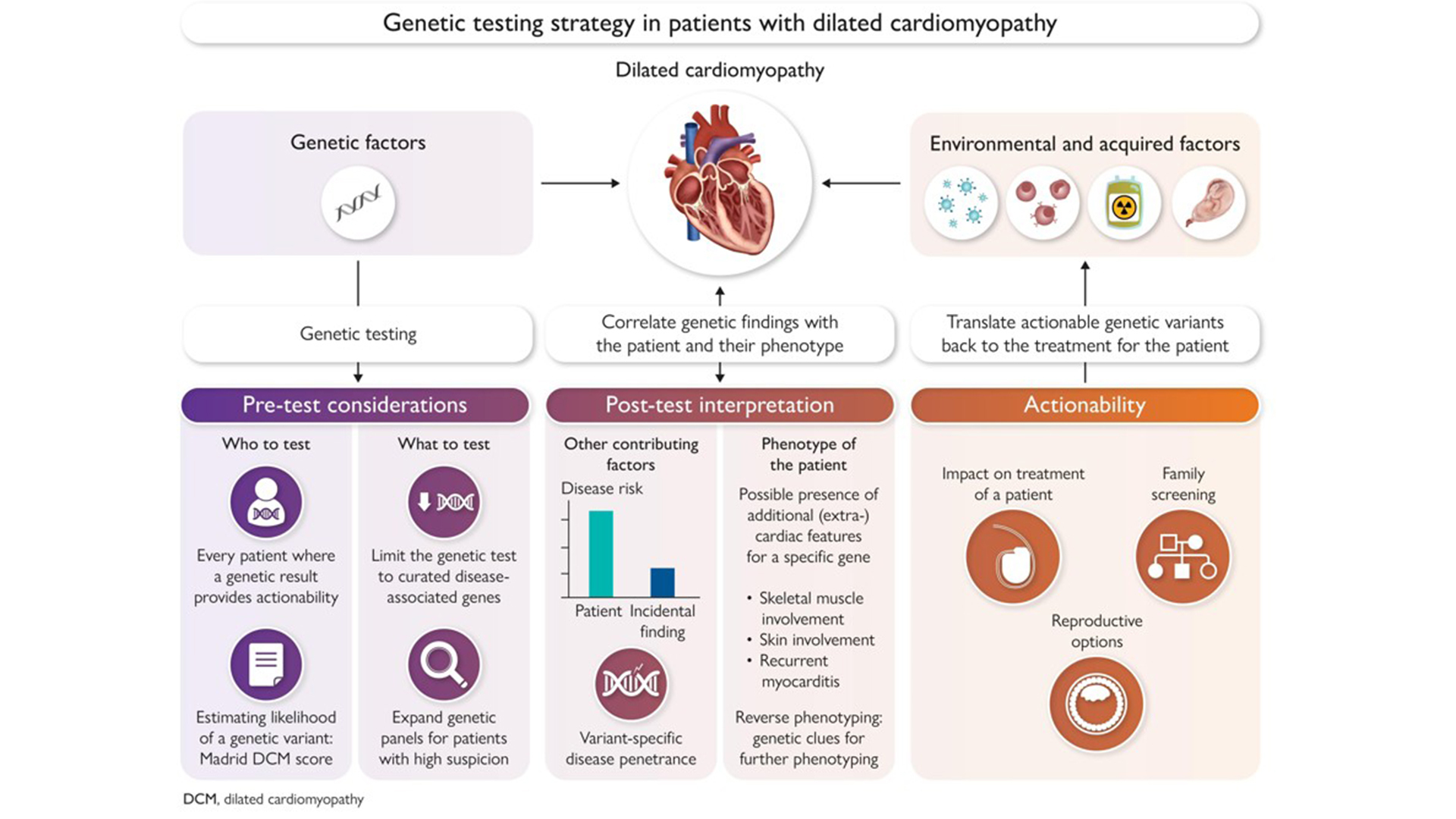 Genetic counselling implementation in dilated cardiomyopathy
