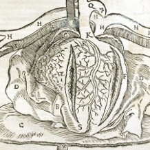 History of Cardiology