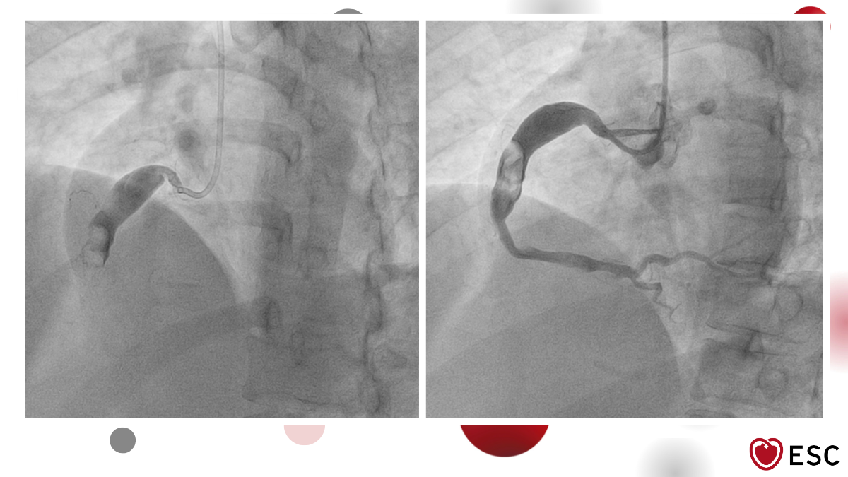 Image of the Week 25 February 2026