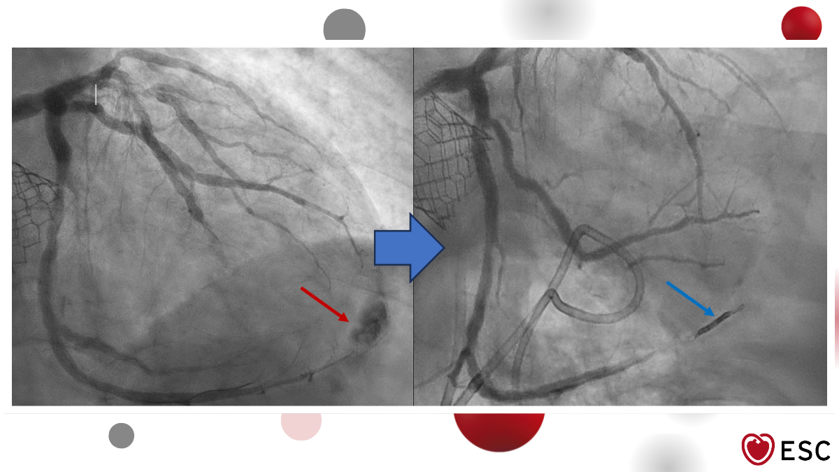 Image of the Week 18 February 2026